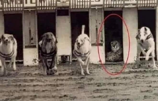 НЕ ТРАТЬТЕ СВОЁ ВРЕМЯ НА ДОКАЗАТЕЛЬСТВА…