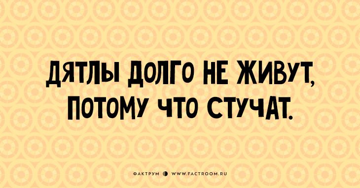 19 иронических открыток 19 иронических открыток