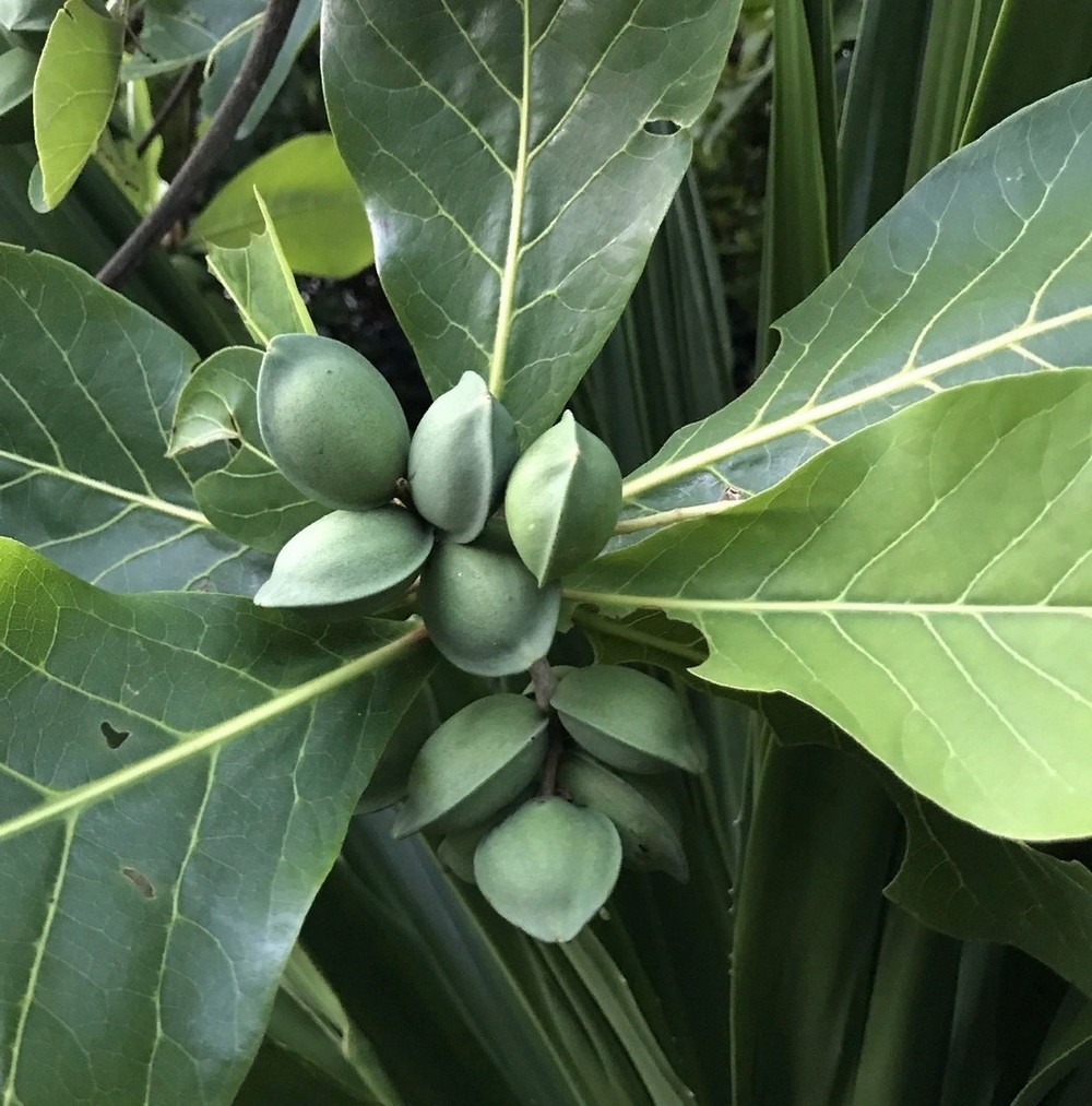 Странное, необычное и смешное... девушки