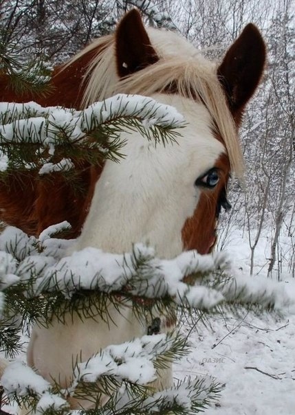 Нина растила дочку одна... платье, новое, купить, Лизочка, туфли, начала, работала, жизнь, хахаль, чтобы, замуж, работу, куклу, увидела, очень, Алексеевич, Сергей, разговаривать, должна, нужней