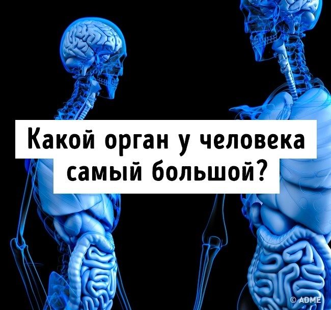 Тест на эрудицию: 13 вопросов, которые покажут, не пора ли вам обратно в школу