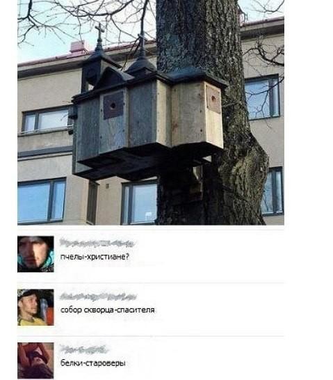 Картинки с надписями мем, прикол, юмор