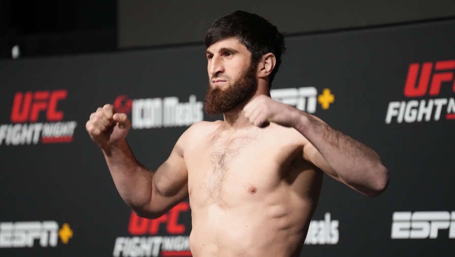 Российский боец UFC Анкалаев согласился на поединок с экс-чемпионом Блаховичем