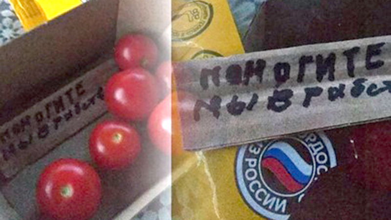 Пятнадцать рабов в день: Вопль из коробки с помидорами вскрыл страшное Пятнадцать рабов в день: Вопль из коробки с помидорами вскрыл страшное россия