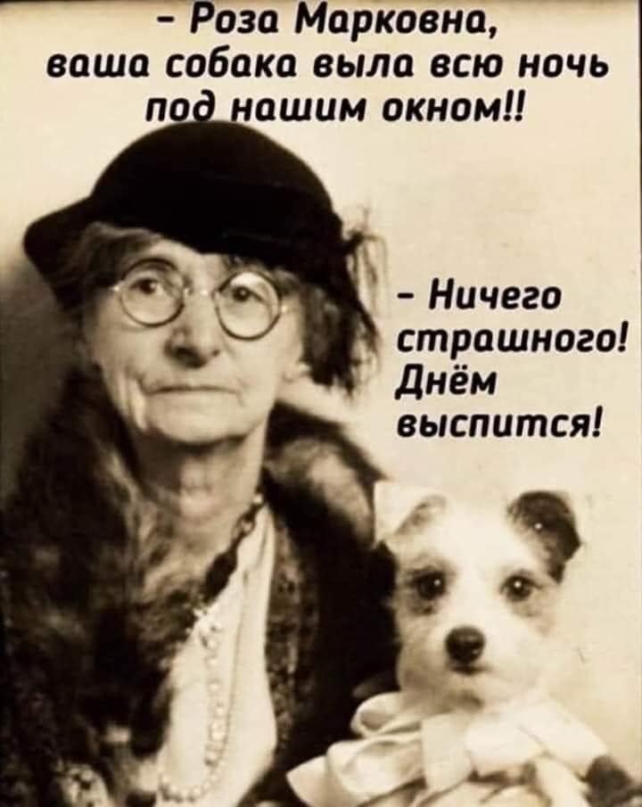 Девушки, вы реально думаете, что мужчины делят вас на худых и толстых?... чтобы, нужно, ничего, женой, выйти, верят, существование, мужчины, почему, заходит, женатыВопрос, понимаю, Какого, наверное, ошиблись, дверью, сейчас, пройти, только, метров