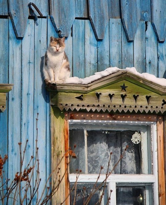 Простота и очарование русской глубинки город, красота, люди, провинция, россия, эстетика