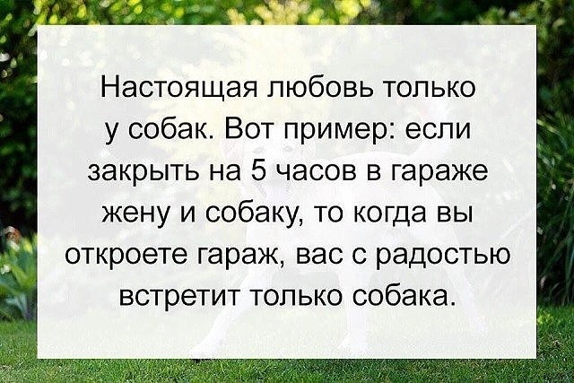 Гениальный план: 1) заказать жену на час... Весёлые,прикольные и забавные фотки и картинки,А так же анекдоты и приятное общение