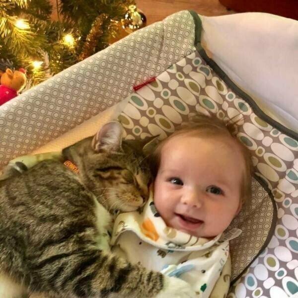 О дружбе О дружбе