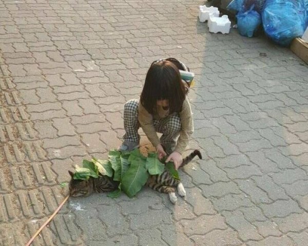 О дружбе О дружбе