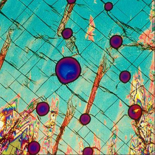 Алкоголь под микроскопом алкоголь,интереснное,микрофотографии