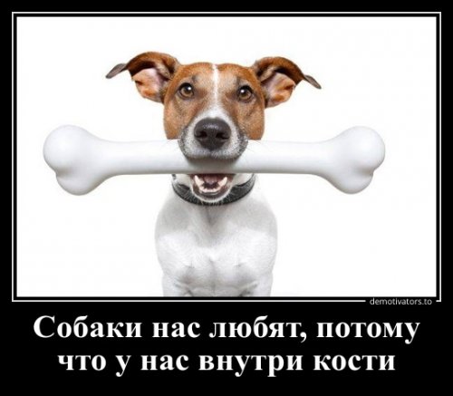 Сборник прикольных демотиваторов Сборник прикольных демотиваторов приколы