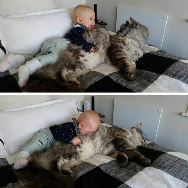 О дружбе О дружбе