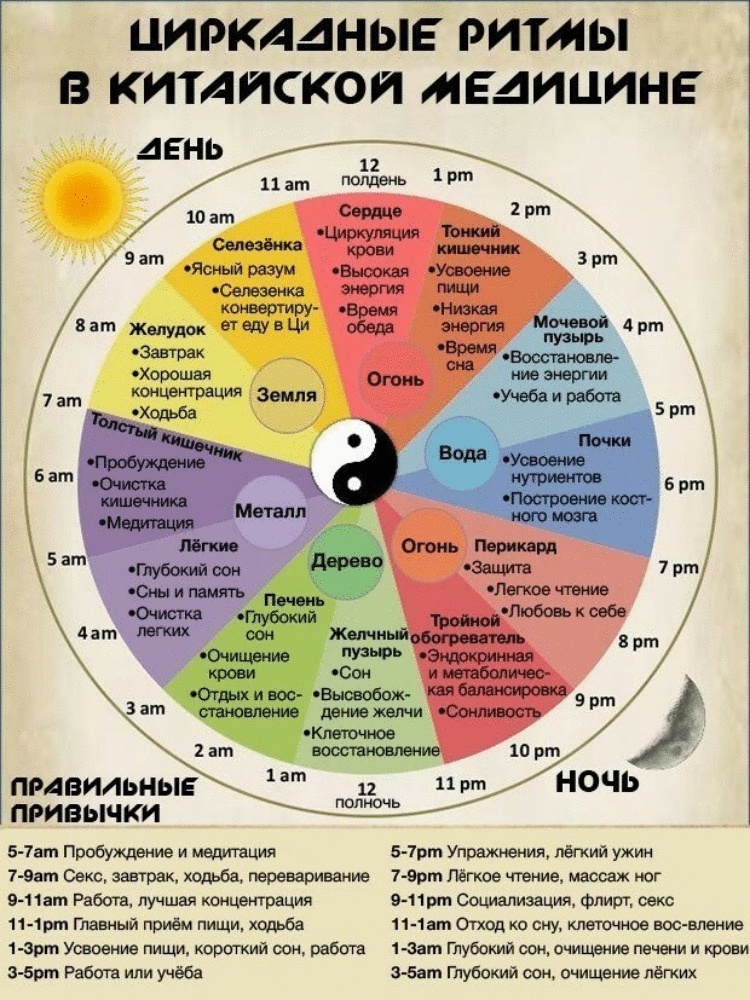 Строго по расписанию: почему китайцы едят только в 12 дня и спят на рабочем месте заграница,страны