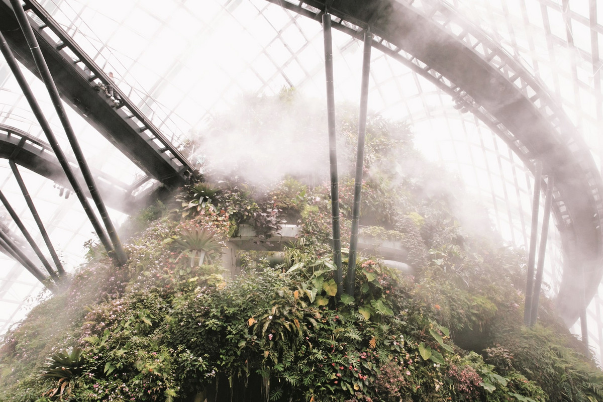 «Дуэт фотографов путешествует по миру, снимая ботанические сады, оранжереи и теплицы 7