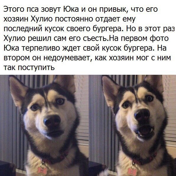 Смешные комментарии и высказывания из социальных сетей высказывания, комментарии, прикол