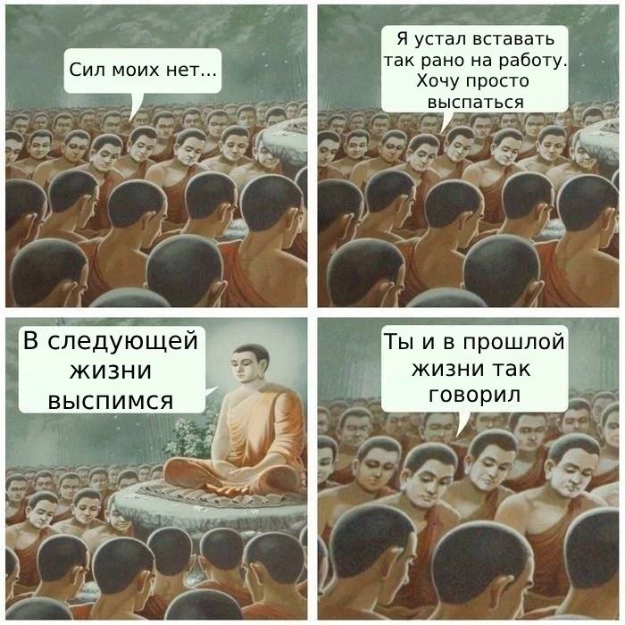 Смешные картинки про работу, жизнь и верное решение 
