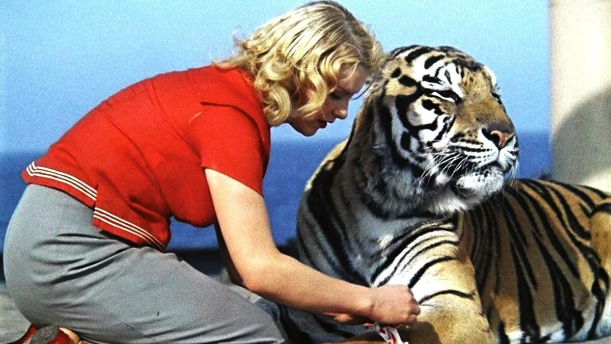 «Полосатый рейс»: почему медведей поменяли на тигров и как обманули Евгения Леонова киноактеры,отечественные фильмы,СССР