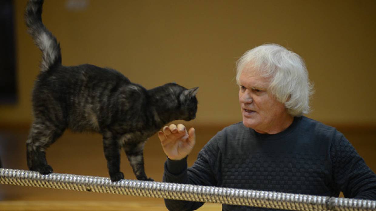 Юрий Куклачев осудил дискриминацию российских кошек со стороны Запада