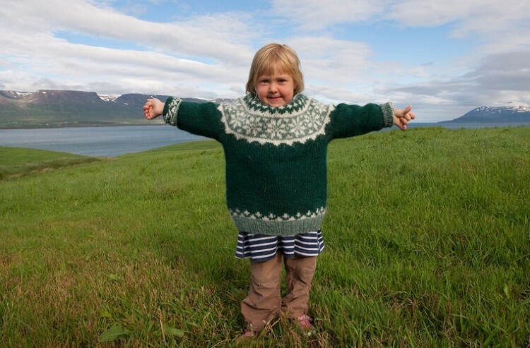 Что исландцу хорошо, то русскому не понять путешествие,страны,туризм