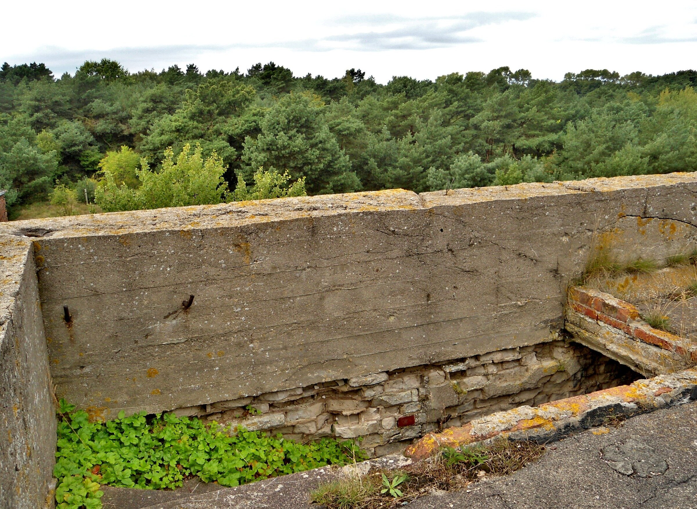 Заброшенный немецкий аэродром Люфтваффе "Нойтиф". Ангар 6 Заброшенный немецкий аэродром Люфтваффе "Нойтиф". Ангар 6