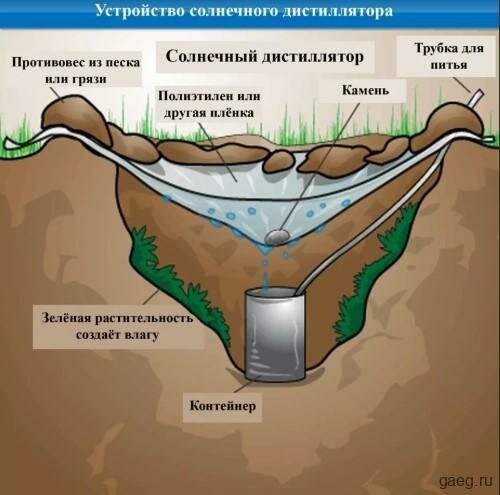 Никогда не выбрасывайте использованные пакеты, из них можно сделать много полезного можно, будет, сделать, коробки, хранения, может, хранить, бывшей, получится, могут, создайте, упаковки, полиэтиленовые, хорошенько, пакет, пакеты, саду8, старая, пойдёт, столе