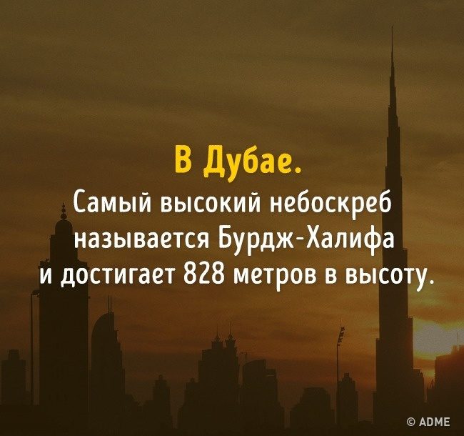 Тест на эрудицию: 13 вопросов, которые покажут, не пора ли вам обратно в школу