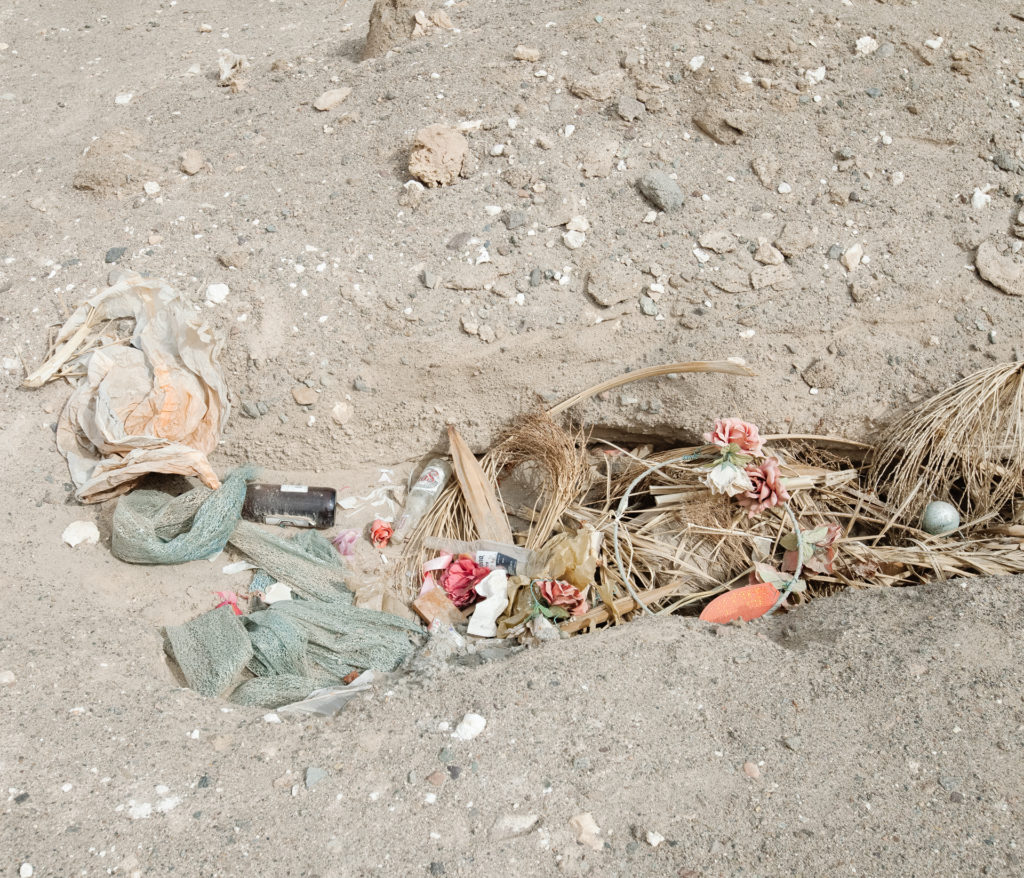 Сухой закон: как последние обитатели пустыни Атакама выживают без «права на воду» Сухой закон: как последние обитатели пустыни Атакама выживают без «права на воду» мир,фотография