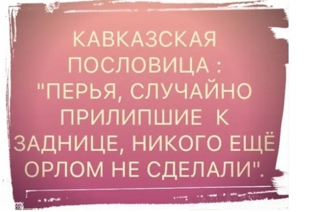 В бар заходит мужик, а за ним страус и мокрая кошка... Весёлые,прикольные и забавные фотки и картинки,А так же анекдоты и приятное общение