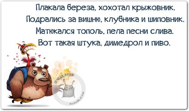 Прикольные картинки с позитивными фразочками Прикольные картинки с позитивными фразочками