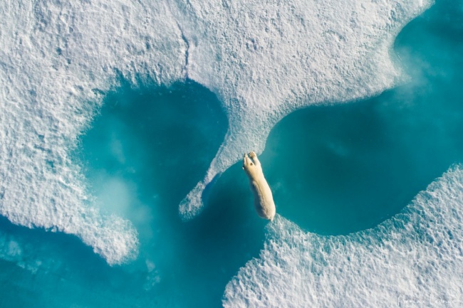 © Florian Ledoux/dronestagram   «Во время нашей арктической экспедиции мы каждый день п