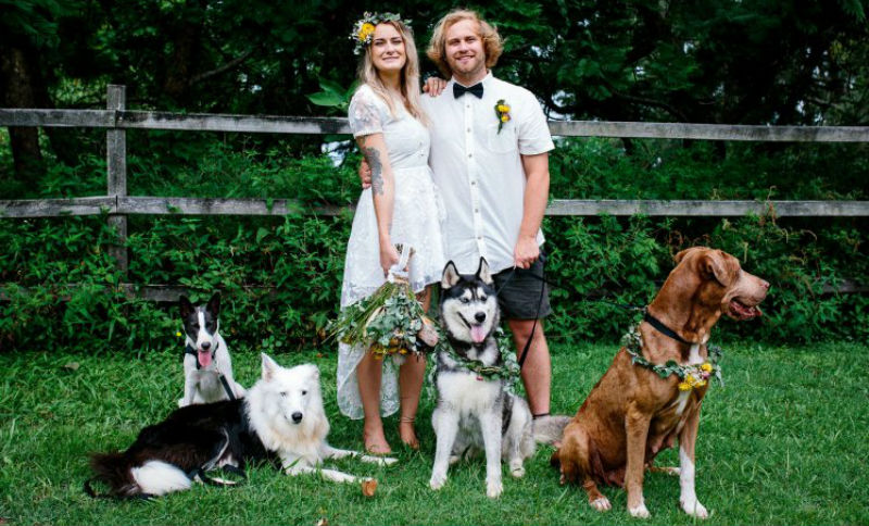 Когда у оператора лапки: пара поручила своему псу снимать свадьбу