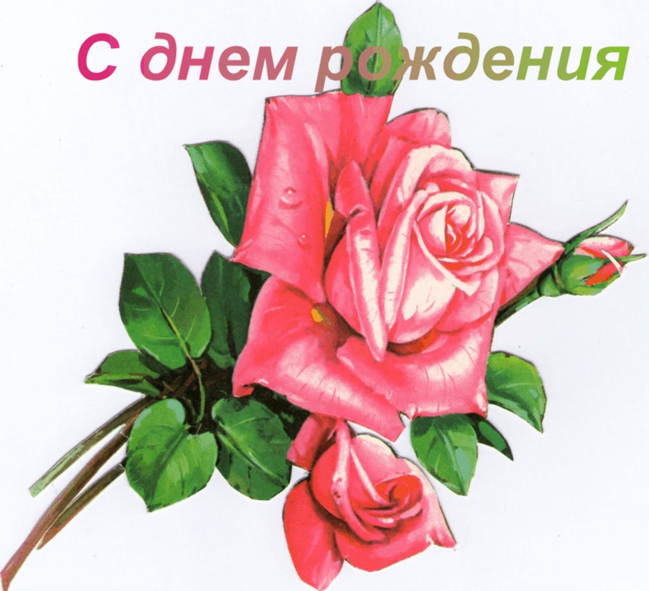 Своими, альбине с днем рождения открытки
