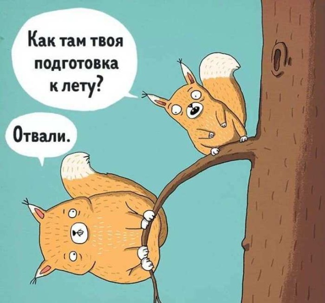 Подборка прикольных картинок Подборка прикольных картинок смешные картинки