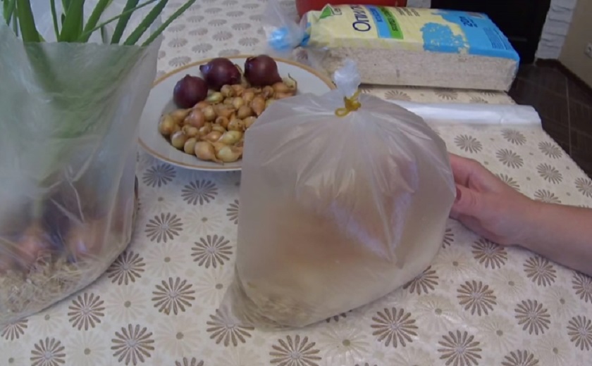 зеленый лук в пакете