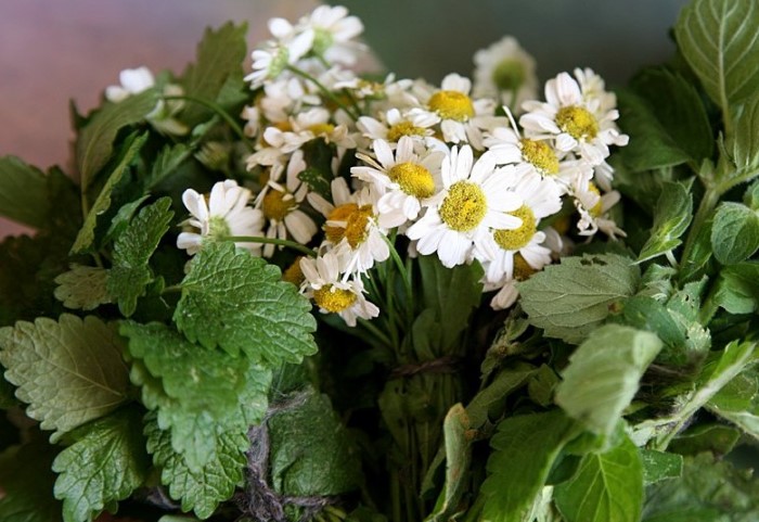 Как бороться с неприятным запахом изо рта: 11 рабочих советов 