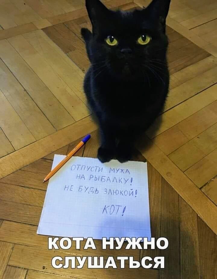 Судя по тому, как сегодня одеты люди, на улице холодно... блины, теперь, подошла, дочка, говорит, такая, когда, зеркалу, русском, языке, слова, интересно, Народу, танцы, нравитсяПятилетняя, народные, разве, спрашивает, ремонт, Стриптизом