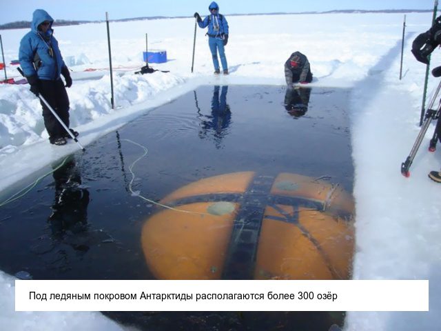 Невероятные факты об Антарктиде. Вам будет сложно в них поверить факты, антарктида