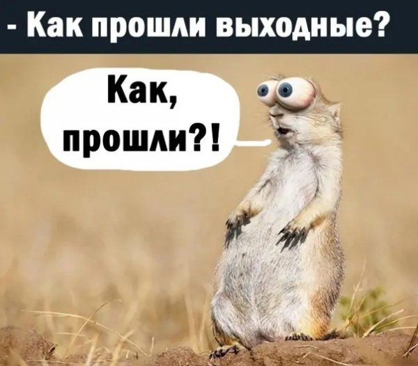 Уморительные шуточки