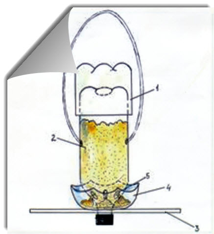 Кормушка для птиц из пластиковой бутылки и деревянная кормушка своими руками очумелые ручки