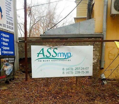 Смешные вывески и объявления (28 фото)