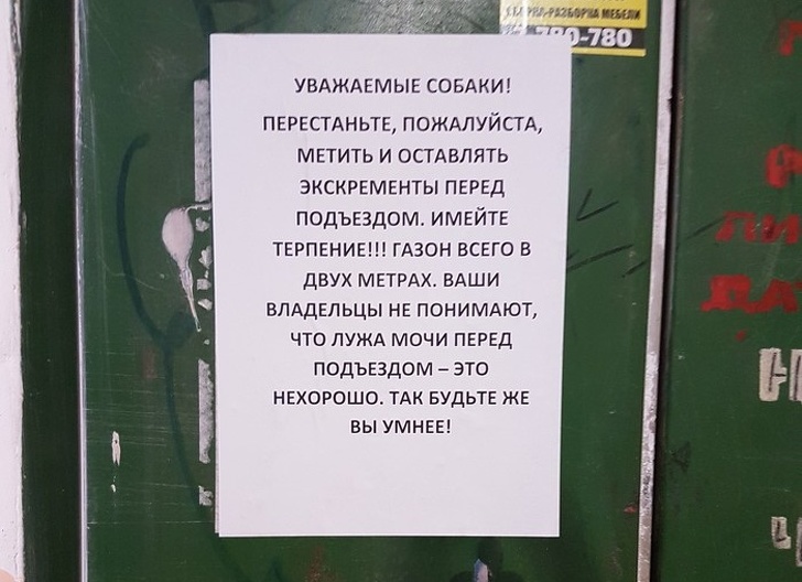 20 доказательств, что ни у кого из нас нет на 100 % идеальных соседей жизнь, истории, отношения, проблемы