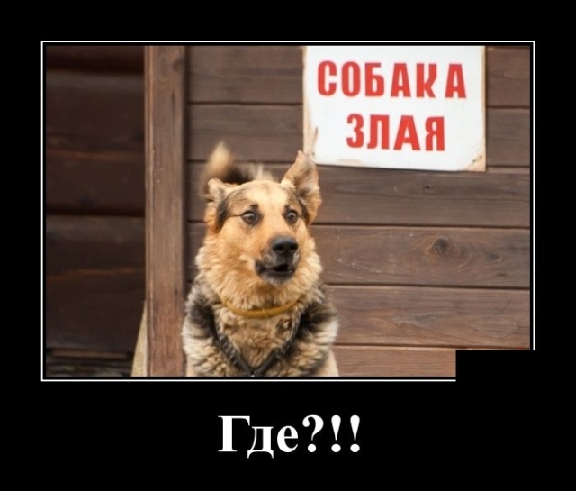 Демотиваторы на Пятницу 26 октября Демотиваторы на Пятницу 26 октября