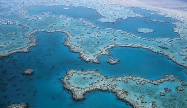 Большой Барьерный риф, Австралия. Источник изображения: pixabay