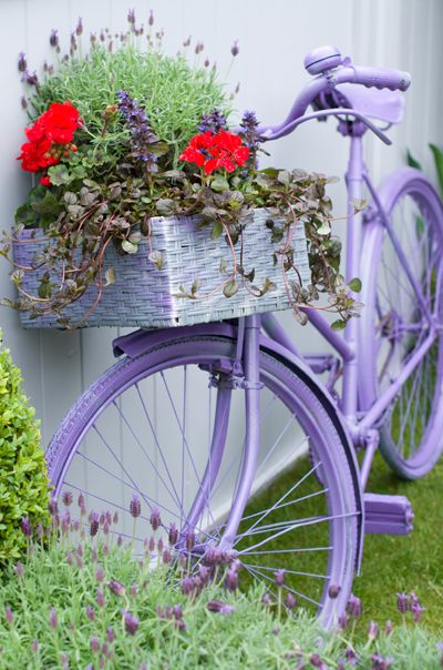 Старые велосипеды, превращенные в шикарные клумбы дача,ландшафтный дизайн,сад и огород
