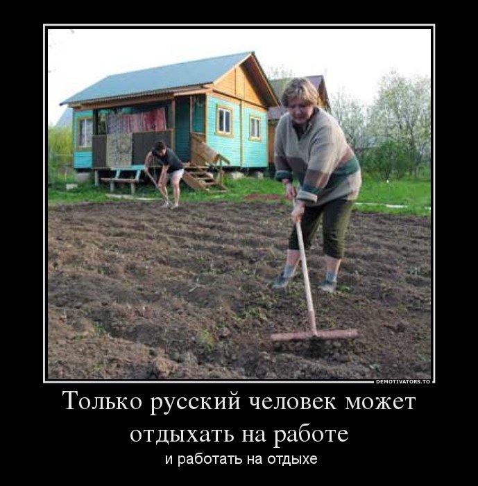 Отдых на даче смешные картинки