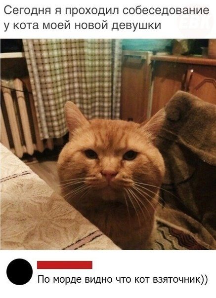 Новые комментарии из соцсетей 