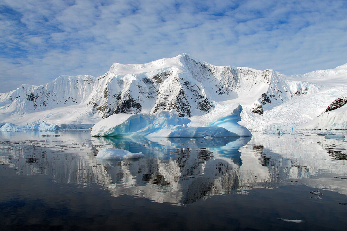 Nature: древние антарктические микроорганизмы оказались хищниками