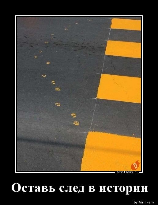 Очередная порция демотивирующих картинок, традиционно вызывающих улыбку и настраивающих на позитивное настроение! Очередная порция демотивирующих картинок, традиционно вызывающих улыбку и настраивающих на позитивное настроение!