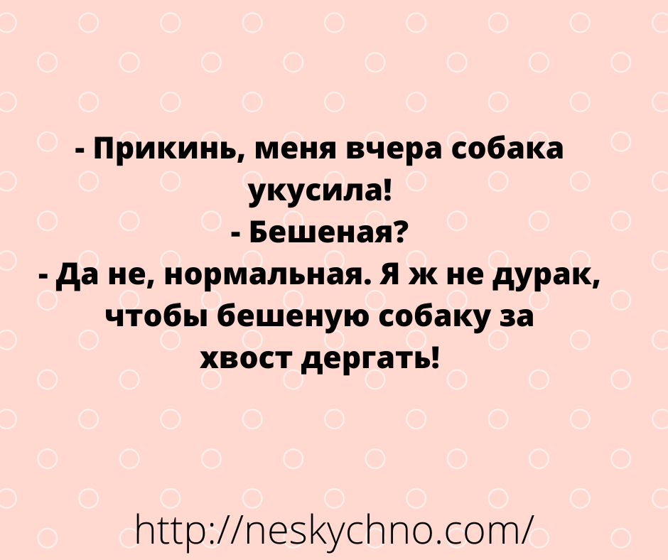 Шутки для хорошего настроения 