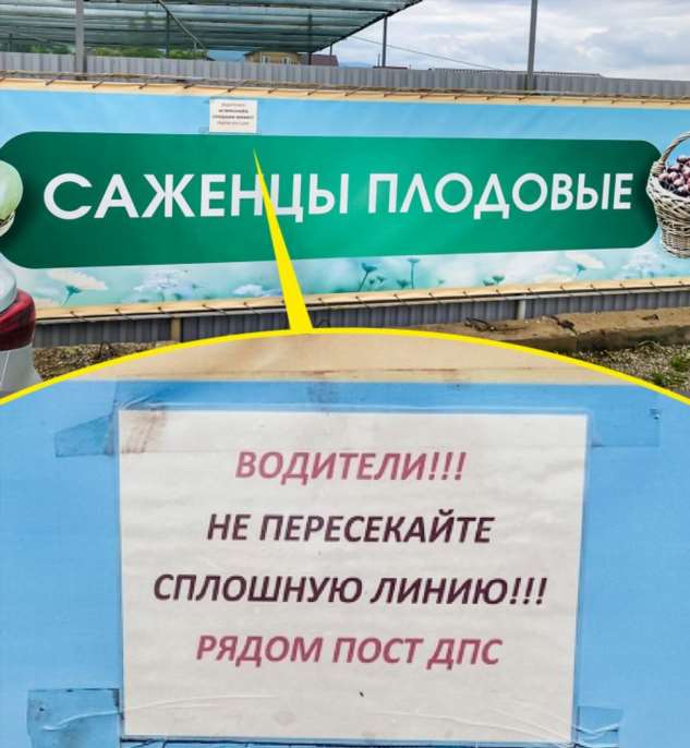 19 случаев, когда клиентоориентированность компаний превысила все мыслимые уровни